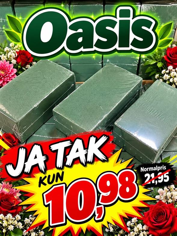 Oasis